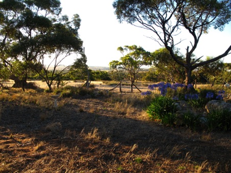 The front yard.